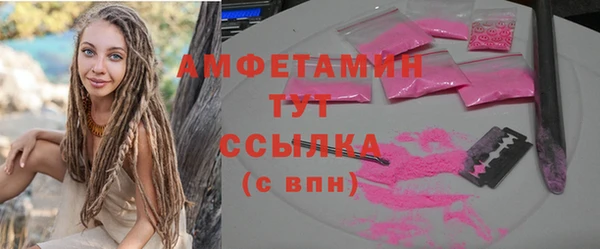 крисы Армянск