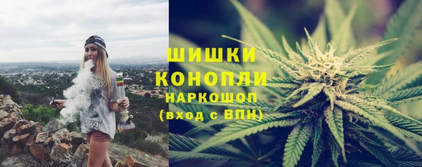 spice Аркадак