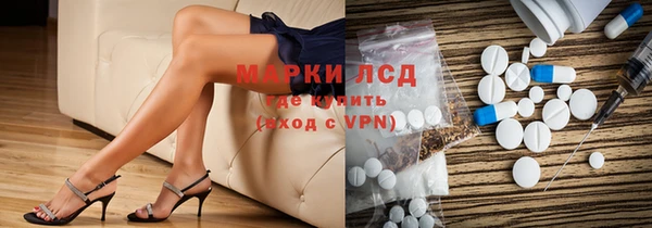 spice Аркадак