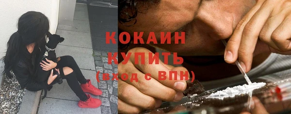 spice Аркадак